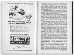 1947 Page 018 019